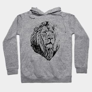 Lion portrait Hoodie